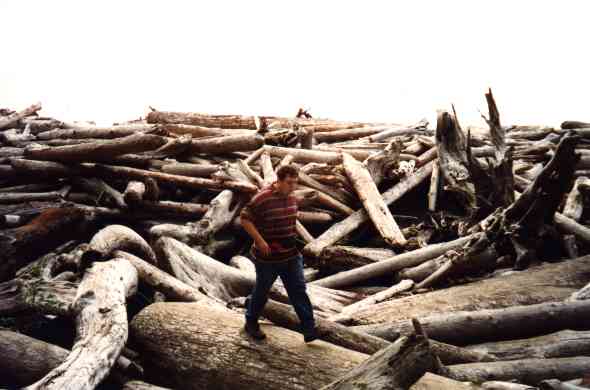 olympic2.jpg (32914 Byte)