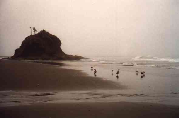 olympic3.jpg (16912 Byte)