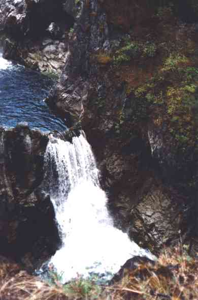 qualcium.jpg (39154 Byte)